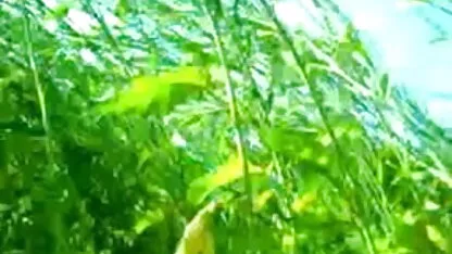 क्रूर गोलेम लाल सेक्सी पिक्चर फुल एचडी हिंदी मूवी बालों वाली योगिनी तहखाने में