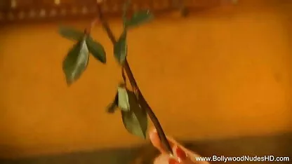 विशेष: चेरी फट Dpd द्वारा बड़े काले HUED लंड! सेक्स मूवी दिखाइए